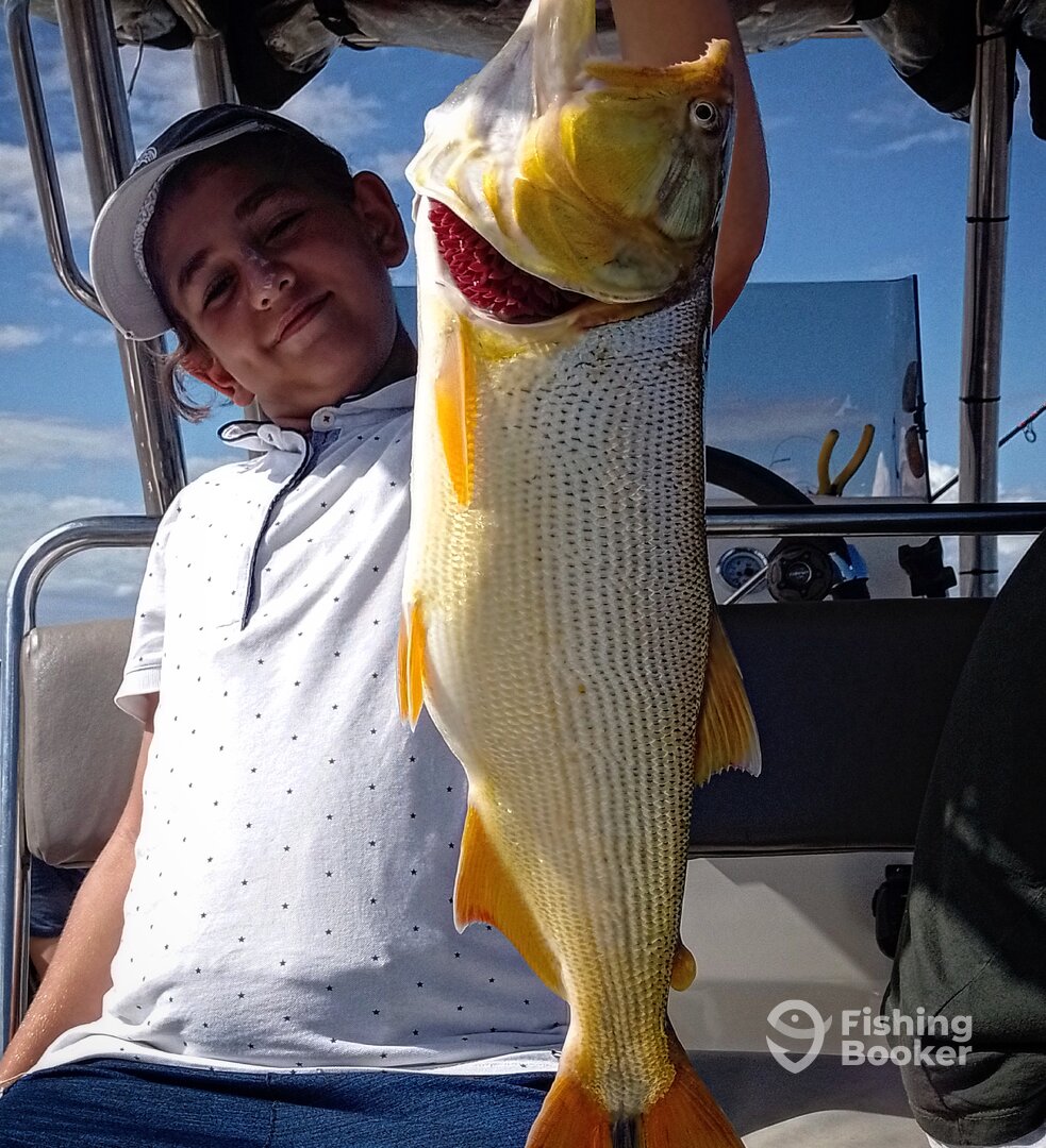 Tigre Report Photo 0