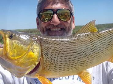 Tigre Report Photo 1