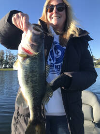 Cypress Gardens Report Photo 1