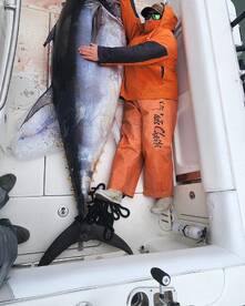 Virginia Beach Report Photo 1