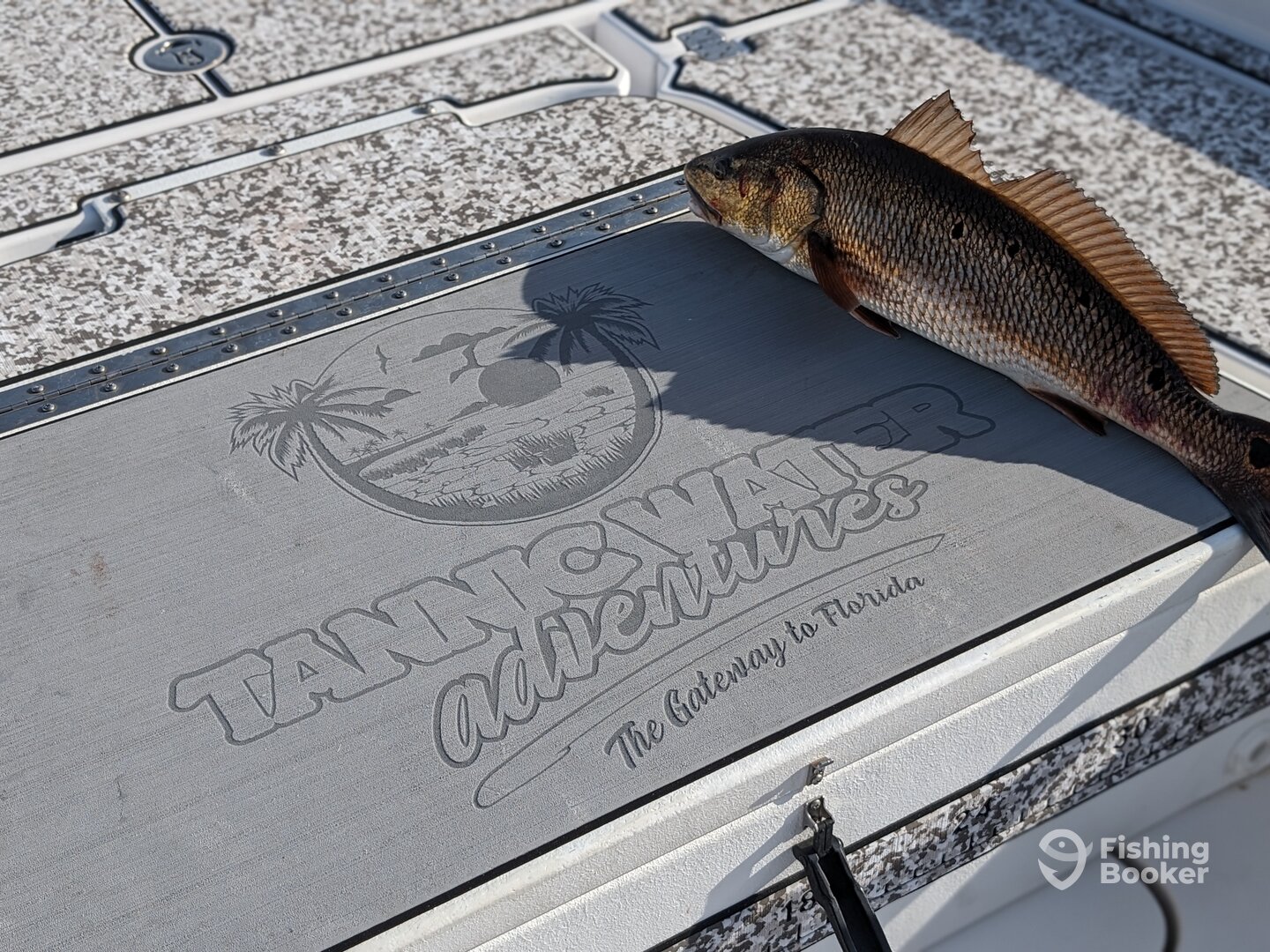 Jacksonville Report Photo 0