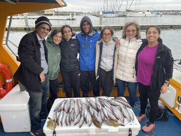 Melbourne Report Photo 1