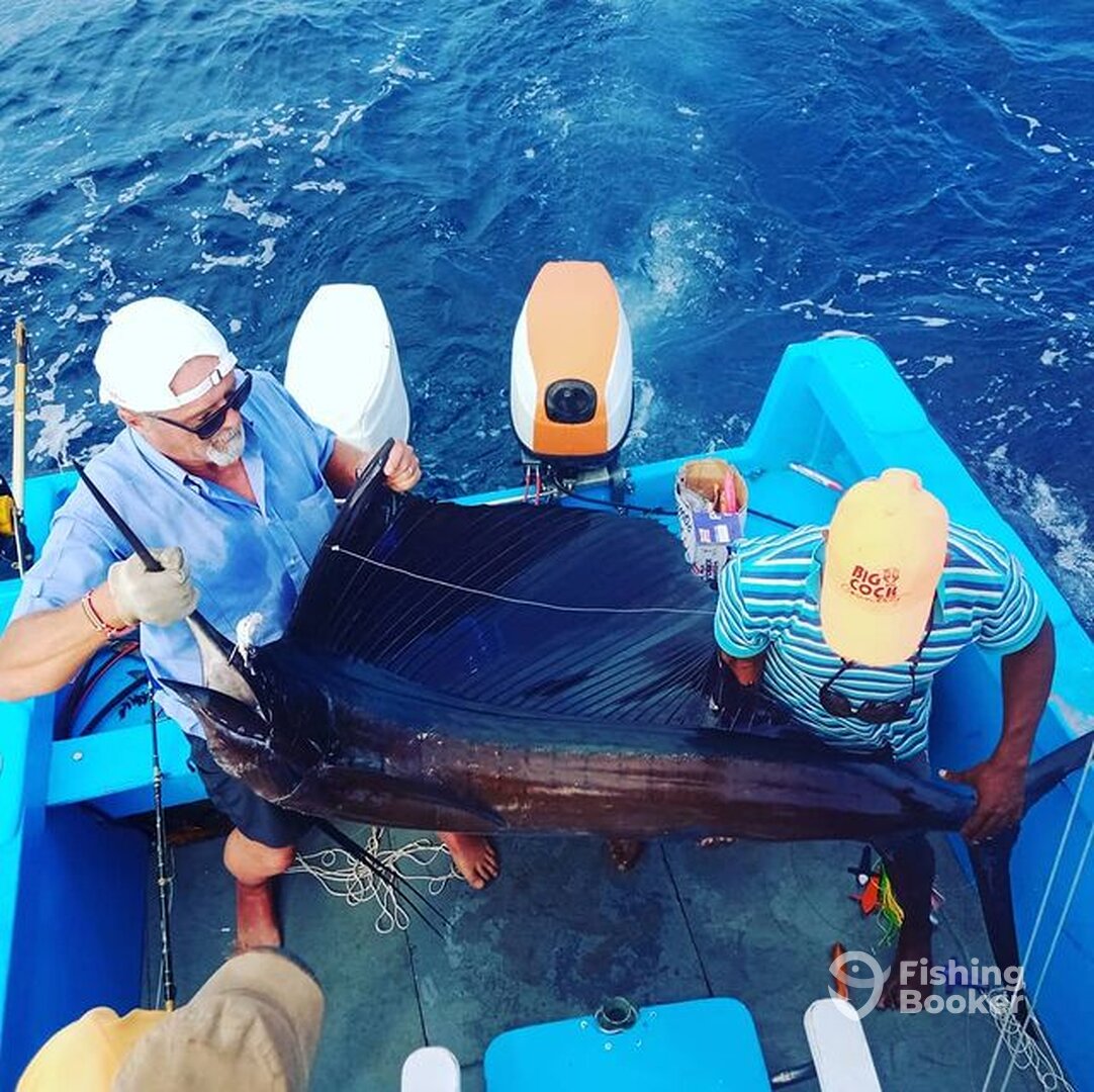 Watamu Report Photo 0