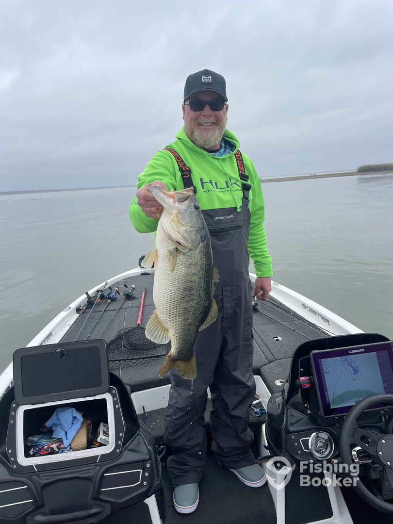 Austin Report Photo 0