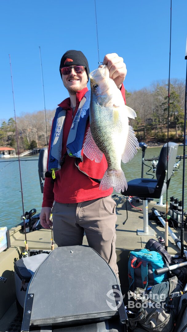 Harrison Report Photo 0