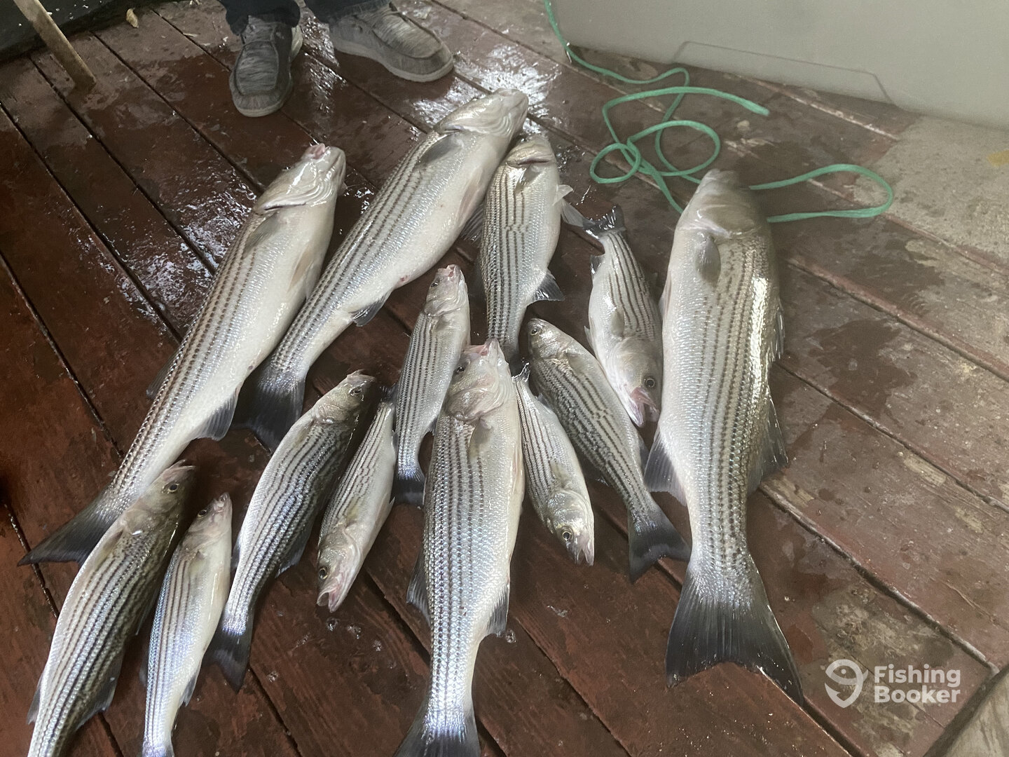 Pottsboro Report Photo 0