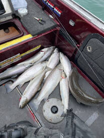 Oak Creek Report Photo 2