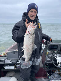 Browns browns and more browns 