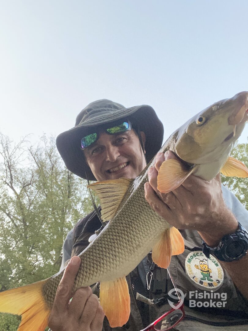 Piedipaterno Report Photo 0