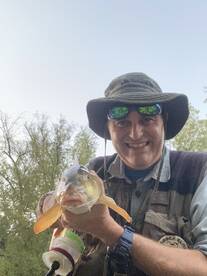 Piedipaterno Report Photo 2