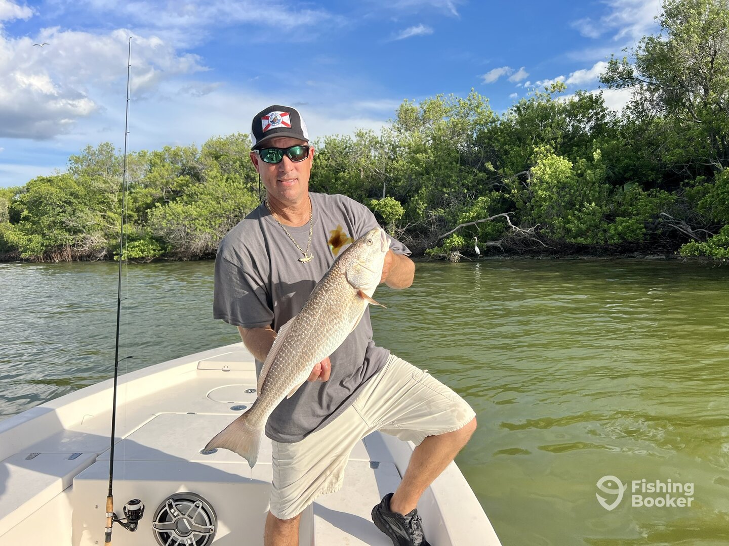 St. Petersburg Report Photo 0