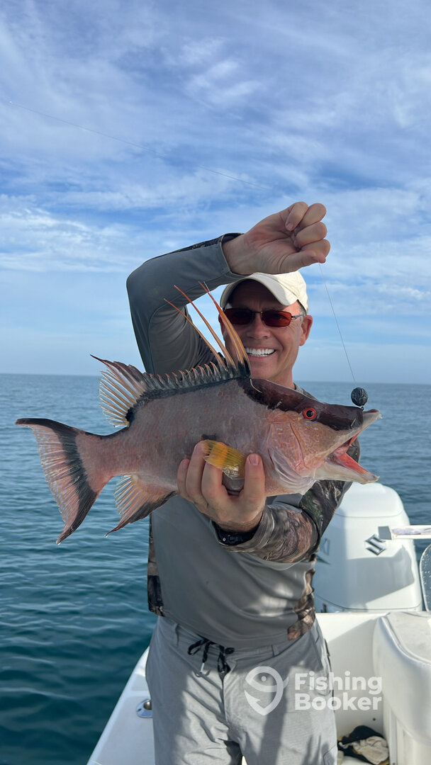 Belleair Bluffs Report Photo 0