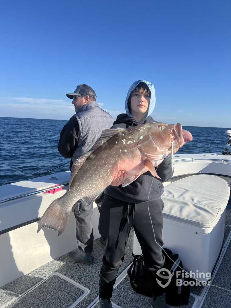 Madeira Beach Report Photo 0