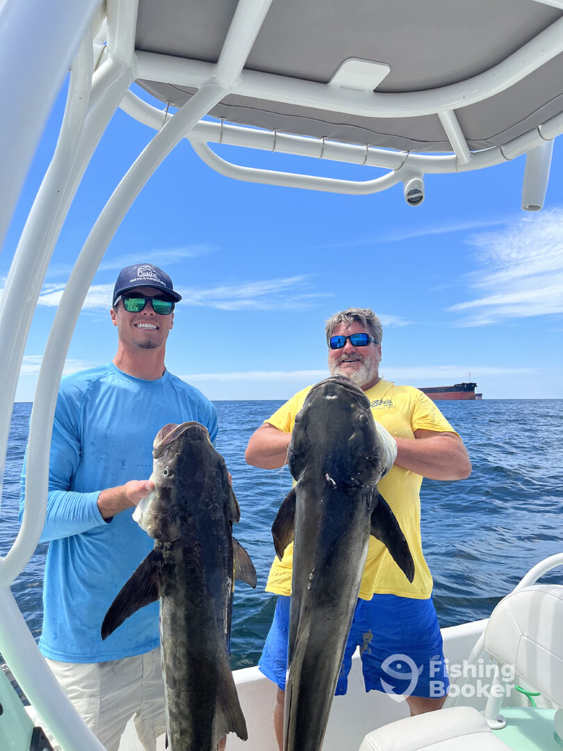 Orange Beach Report Photo 0