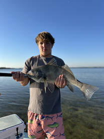 Big schools and clear water 