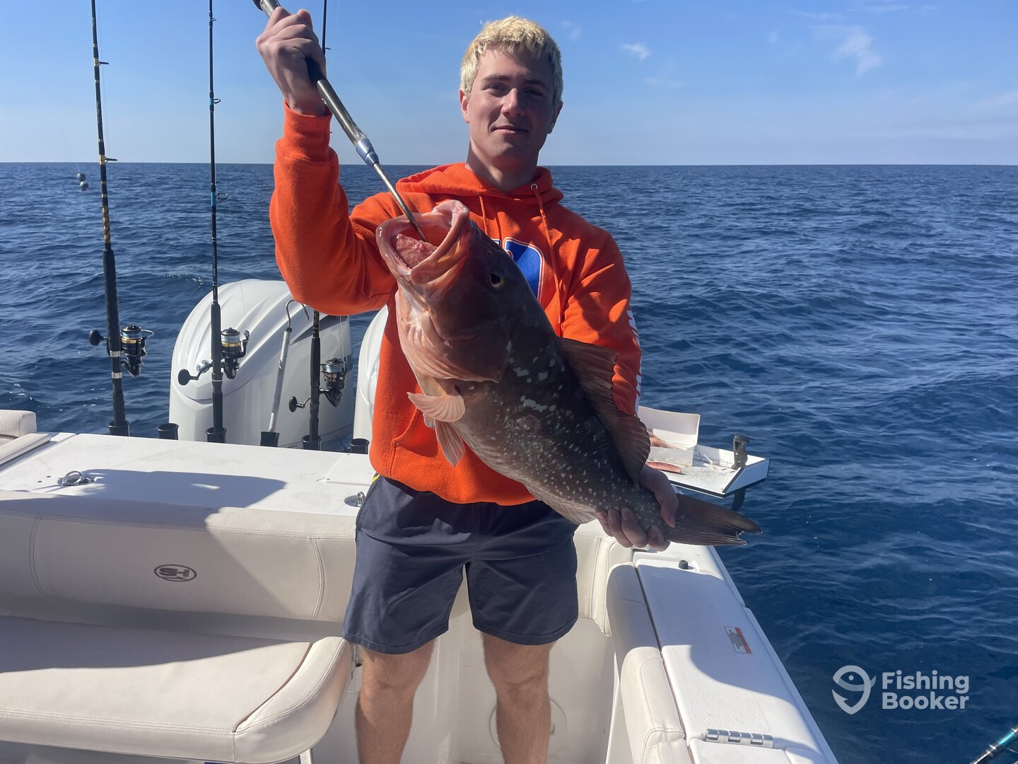 Gulfport Report Photo 0