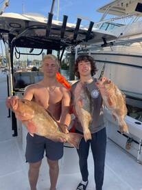 Gulfport Report Photo 1