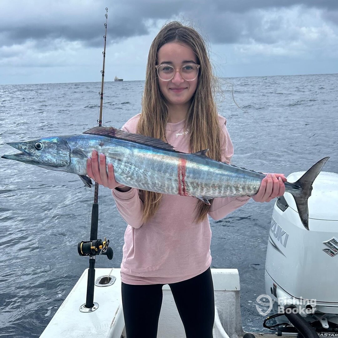 Dania Beach Report Photo 0