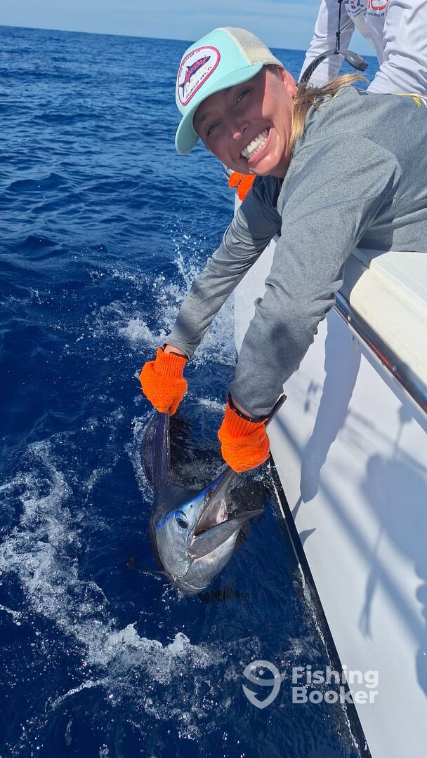 Quepos Report Photo 0