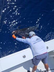 Quepos Report Photo 1