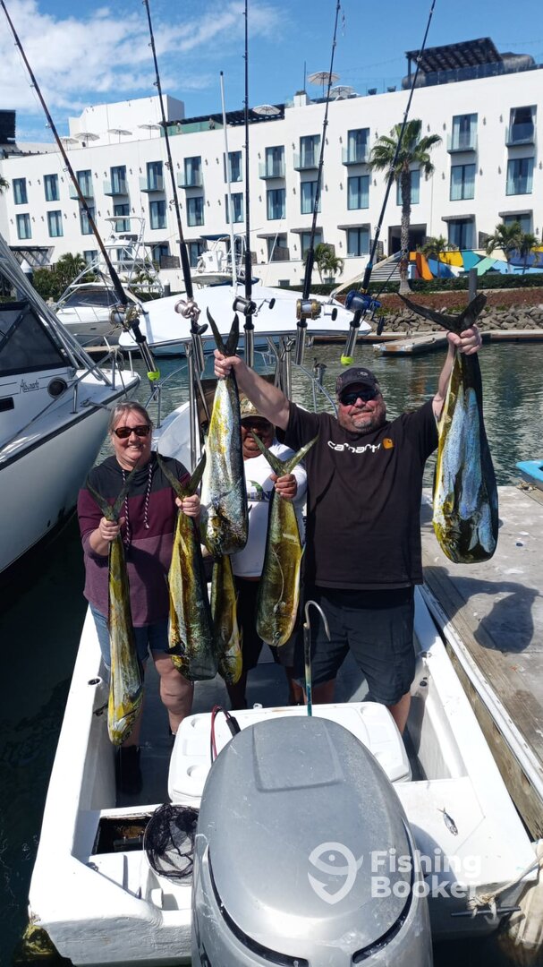 San Jose del Cabo Report Photo 0