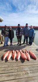 Port O'Connor Report Photo 1