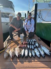 Dania Beach Report Photo 1