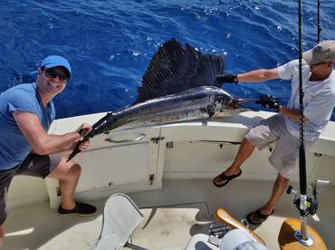 Good Sailfish Bite in Miami