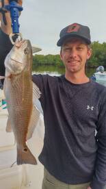 Belleair Bluffs Report Photo 2