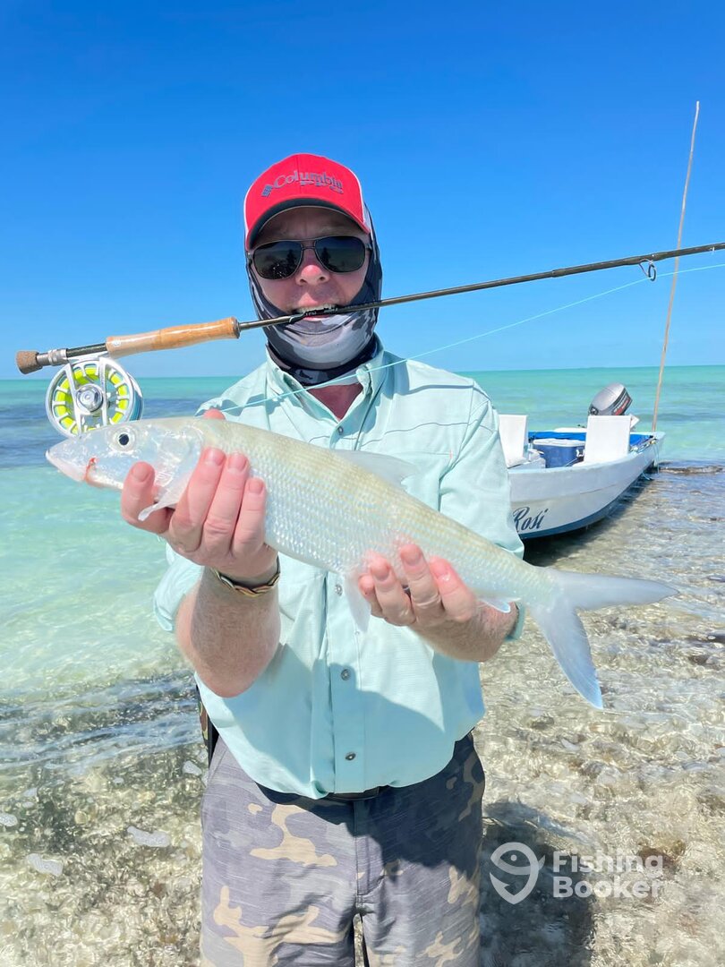 San Pedro Report Photo 0