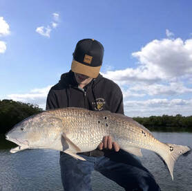 New Smyrna Beach Report Photo 1