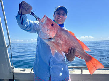 Port Douglas Report Photo 1