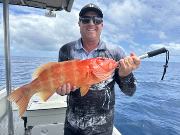 Port Douglas Report Photo 1