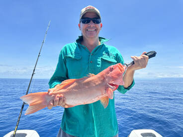 Port Douglas Report Photo 2