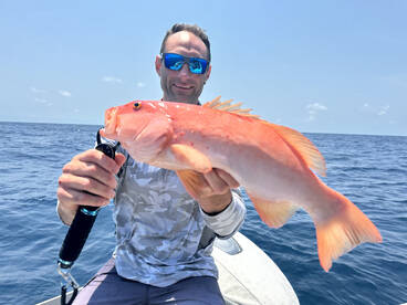 Port Douglas Report Photo 2