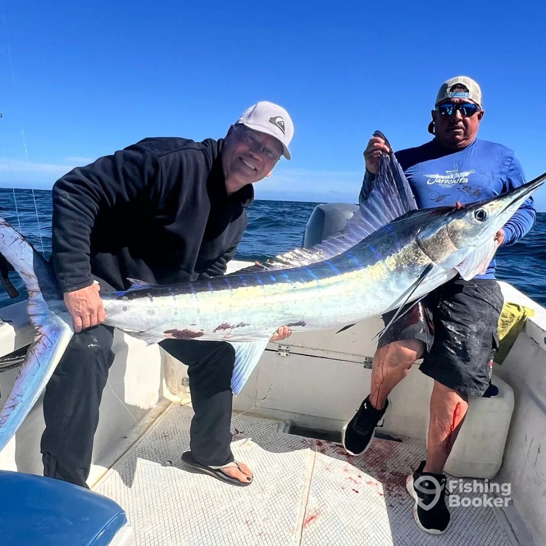 San Jose del Cabo Report Photo 0