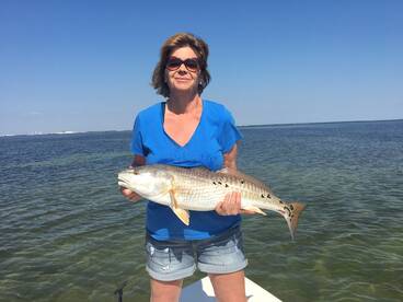 Tampa Bays Red Water