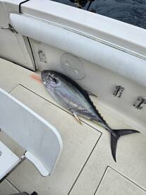 San Jose del Cabo Report Photo 1