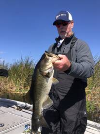 Palm Bay Report Photo 2