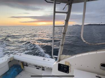 Scouting for bait in Winter