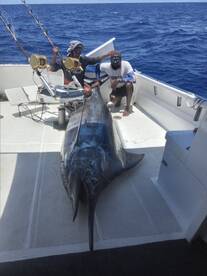 Le Morne Report Photo 2