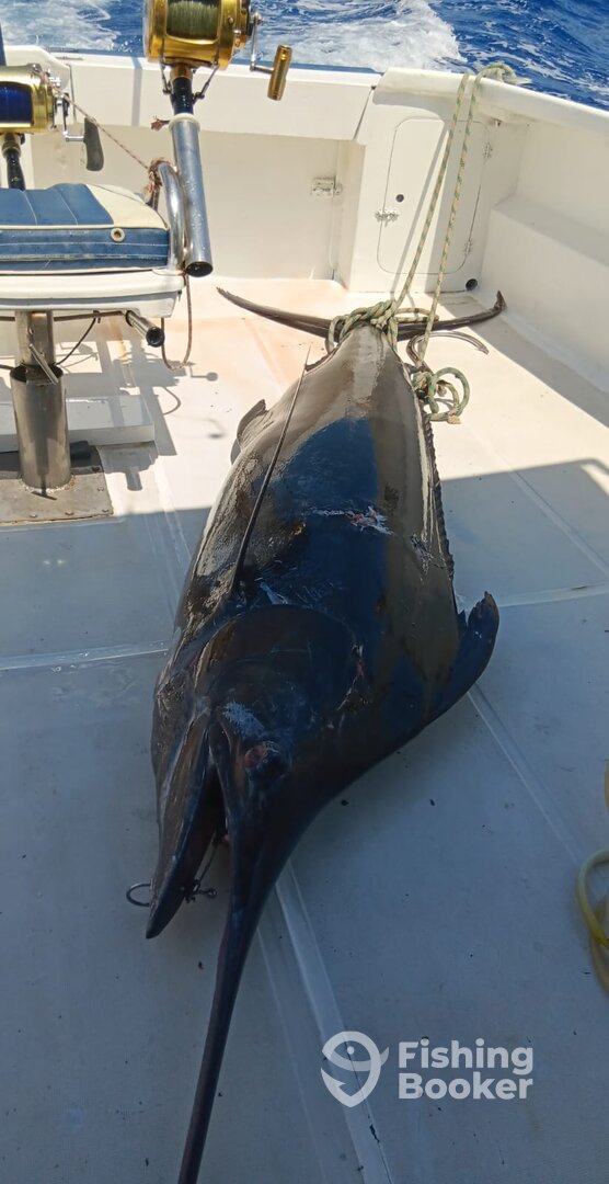 Le Morne Report Photo 0