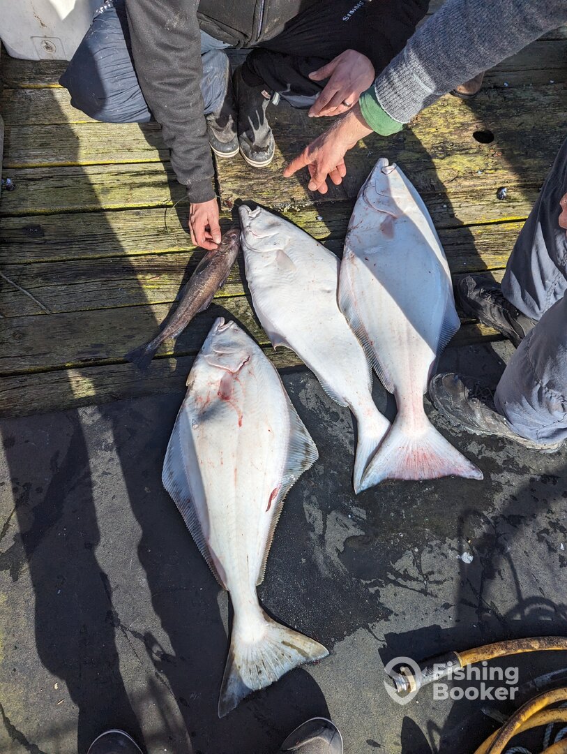 Sooke Report Photo 0