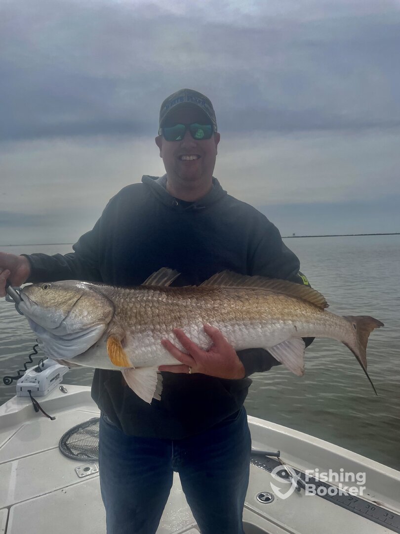 St. Bernard Report Photo 0