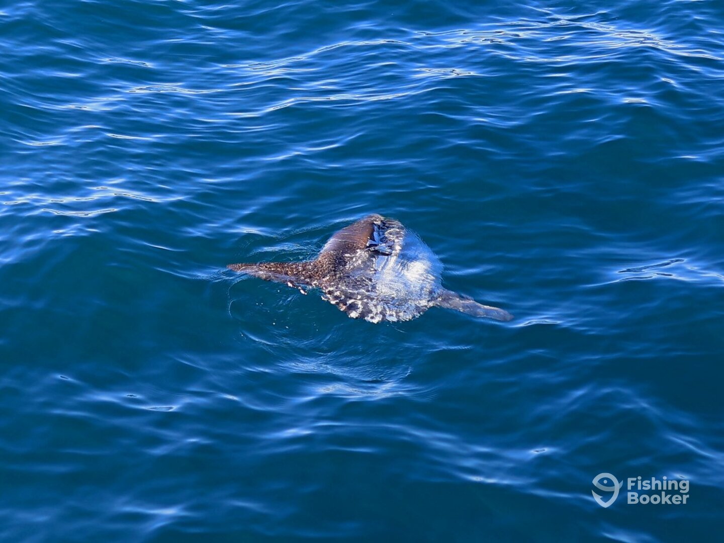 Cape Town Report Photo 0