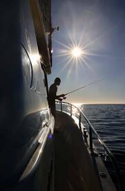 Cape Town Report Photo 2