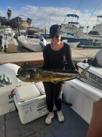 Mahi mahi! DALIKEN sportfishing 