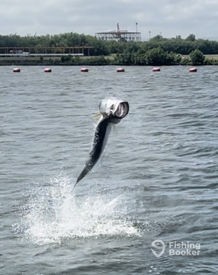 San Juan Report Photo 0