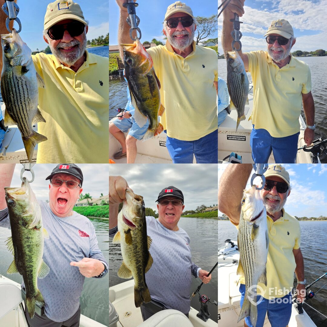 Delray Beach Report Photo 0