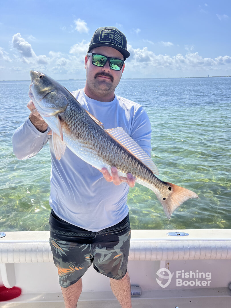 Bradenton Report Photo 0